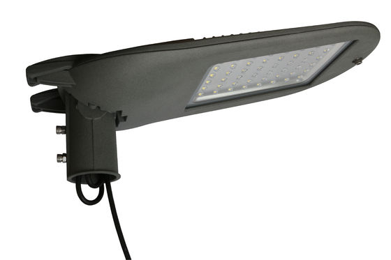 アルミニウム据え付け品はダイ カスト100W LEDの街灯ハウジングの街灯の